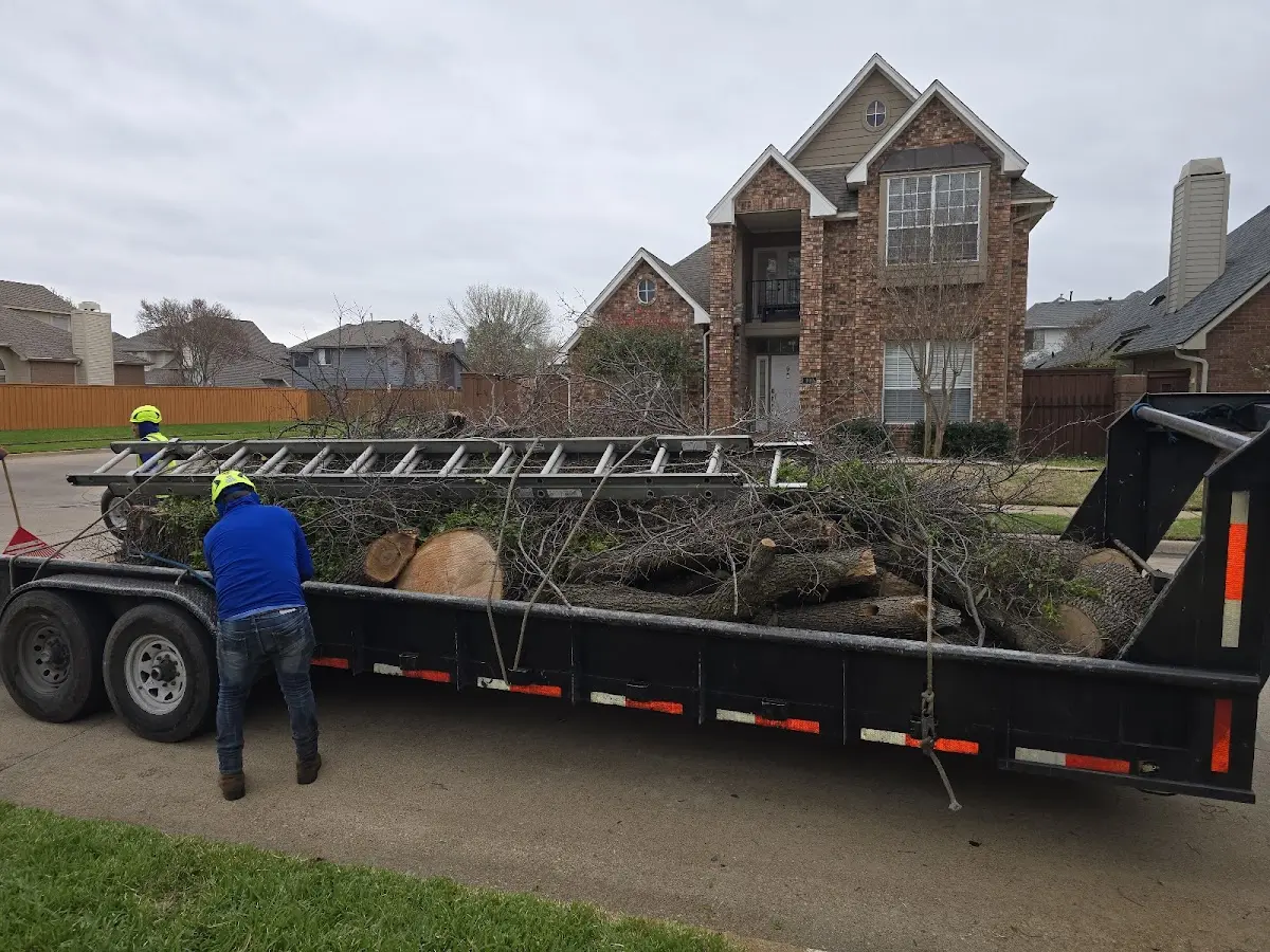 Expert Lot Clearing with proper safety equipment in Birdseye